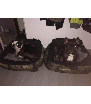 Autosedačka pro psa – OrthoTravel DogPočasí