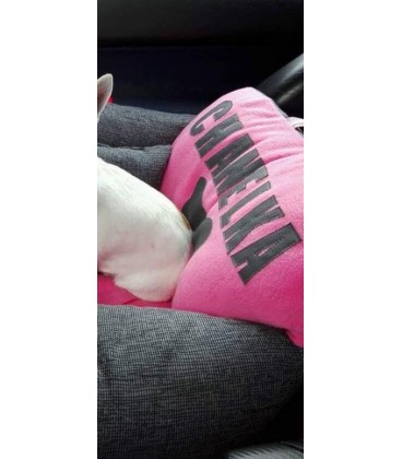 Polštář ve tvaru kosti se jménem pro mazlíčka Suny Suny pelisky