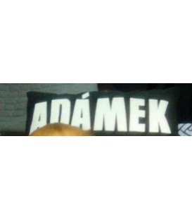 Hranatý polštář se jménem pro mazlíčka (pejsky i kočičky)